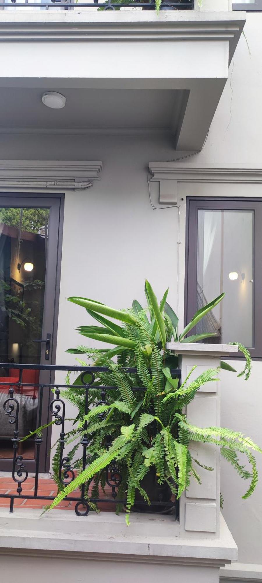 T Home Balcony Homestay Ханой Екстер'єр фото