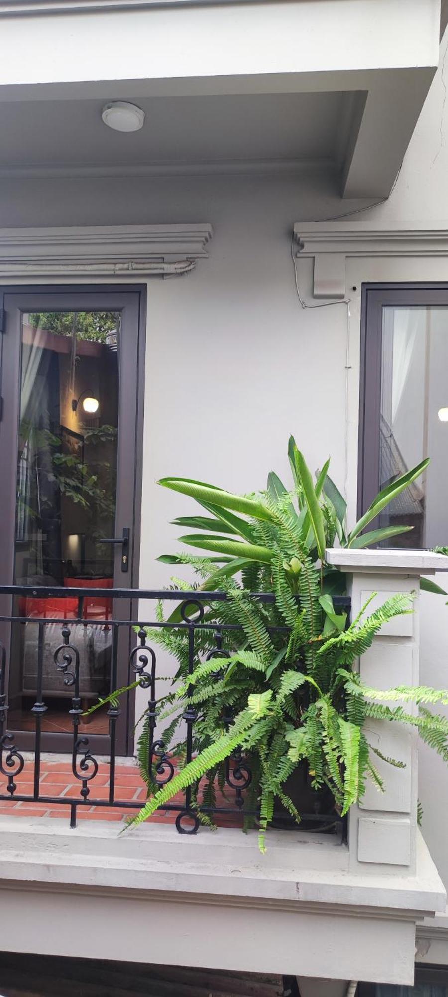 T Home Balcony Homestay Ханой Екстер'єр фото